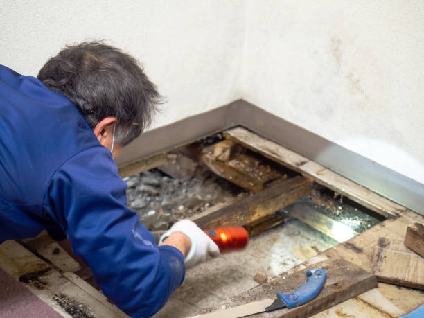 Best Water Damage Restoration  in Tipton, CA