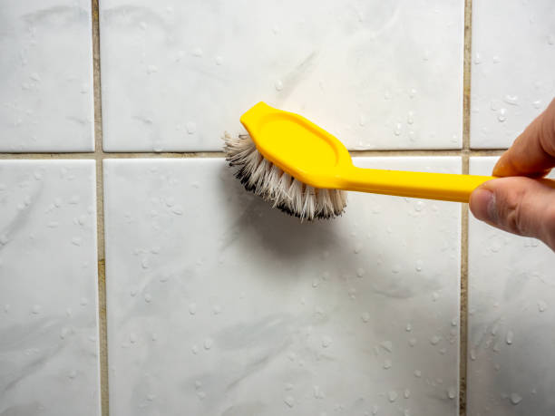 Best Attic Mold Removal  in Tipton, CA