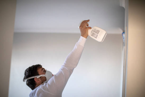 Best Emergency Mold Removal  in Tipton, CA