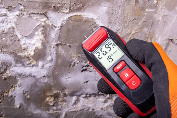 Best Residential Mold Removal  in Tipton, CA