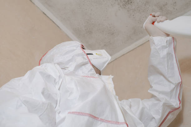 Best Black Mold Removal  in Tipton, CA