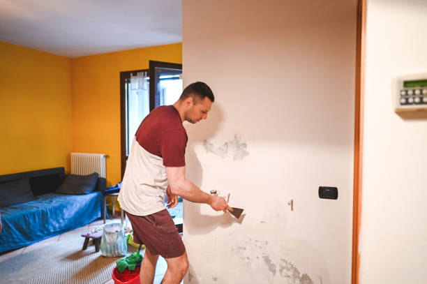 Certified Mold Removal in Tipton, CA